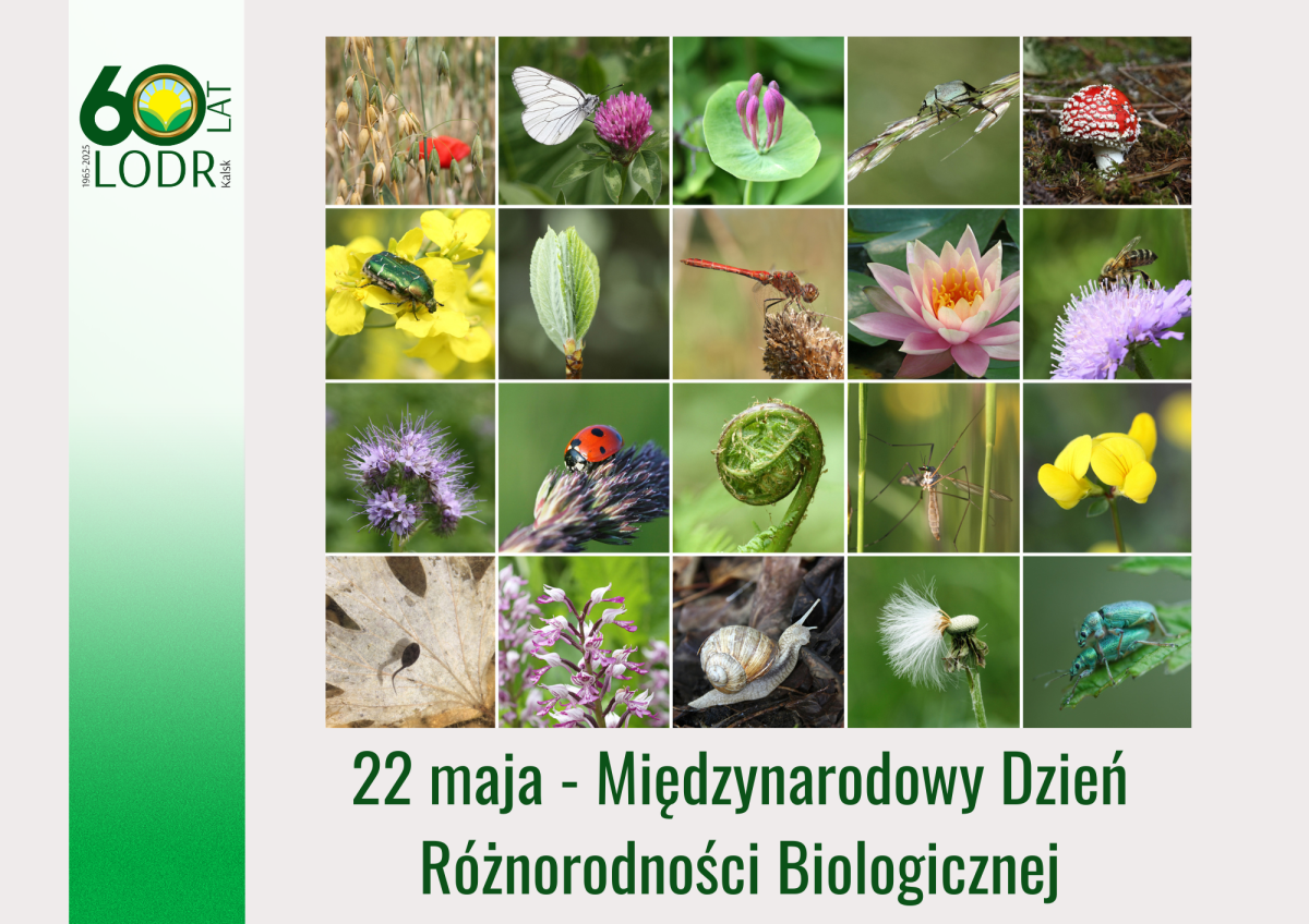 22 maja – Międzynarodowy Dzień Różnorodności Biologicznej