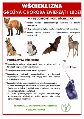 4. Wojewódzki Inspektorat Weterynarii w Zielonej Górze przypomina: WŚCIEKLIZNA - groźna choroba zwierząt i ludzi