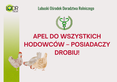 APEL DO WSZYSTKICH HODOWCÓW – POSIADACZY DROBIU!