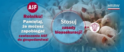 ASF – przypominamy o zasadach bioasekuracji