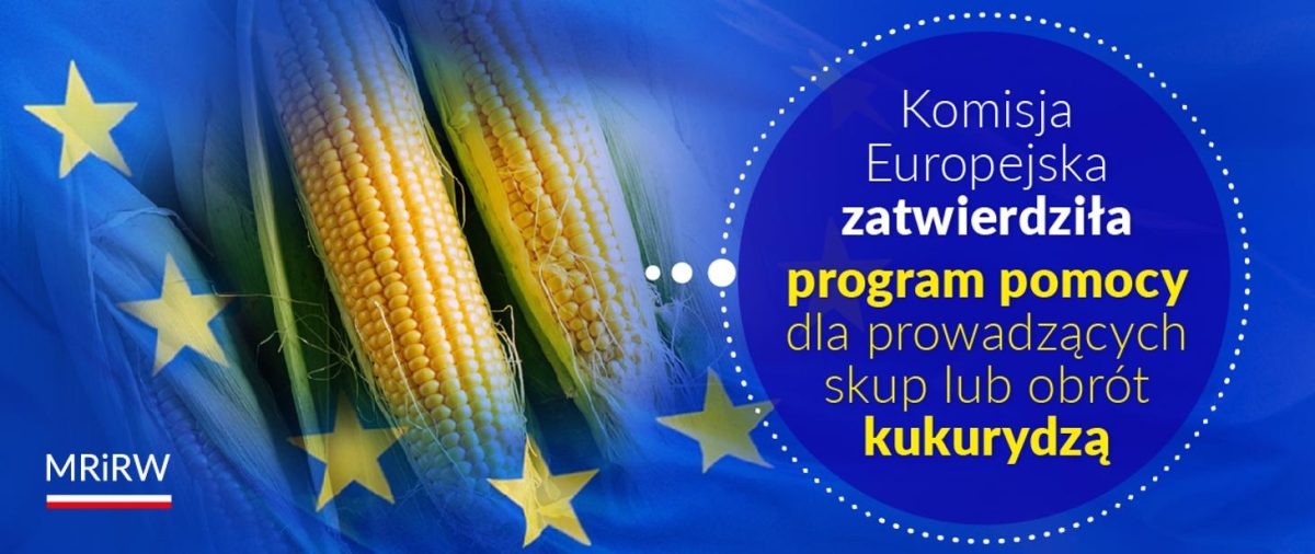 Będą dopłaty do kukurydzy
