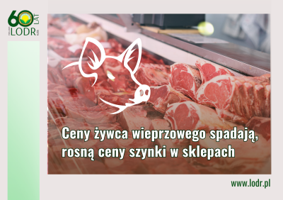 Ceny żywca wieprzowego spadają, rosną ceny szynki w sklepach