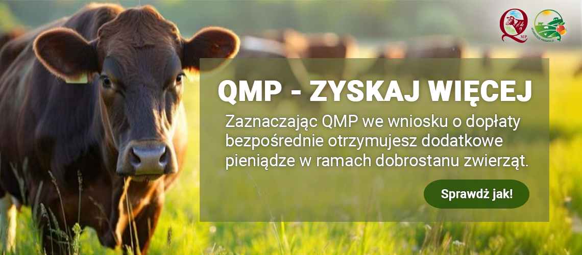 Certyfikat QMP