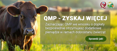 Certyfikat QMP