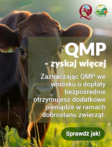 Certyfikat QMP – warunek konieczny do otrzymania dopłaty! Masz czas tylko do 31 lipca