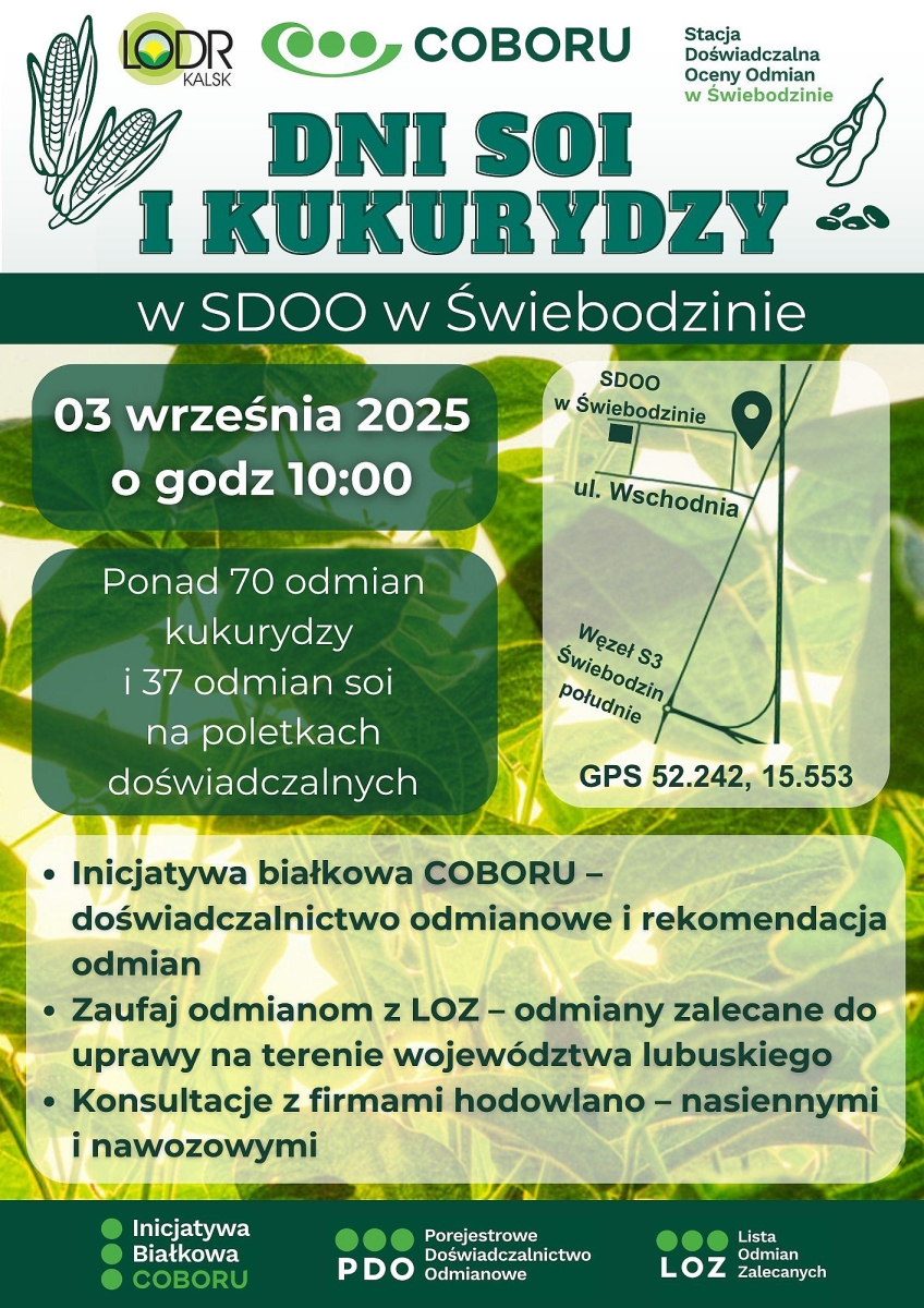 Dni SOI i KUKURYDZY 