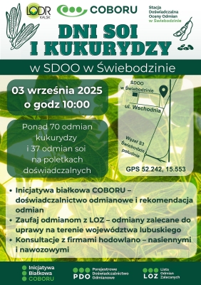 Dni SOI i KUKURYDZY 