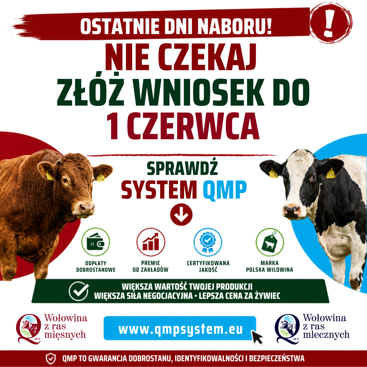Dodatkowe pieniądze dla hodowców z QMP – tylko do 1 czerwca!