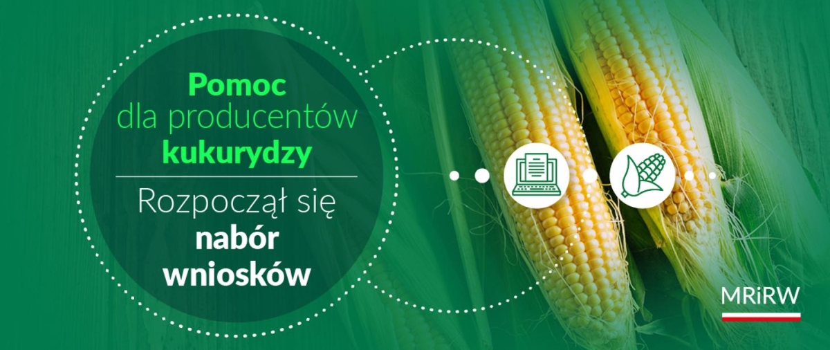 Dopłaty do kukurydzy – wnioski o pomoc do 29 lutego.