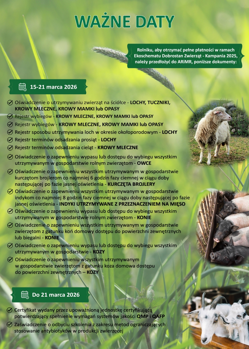 Plakat CDR Brwinów 