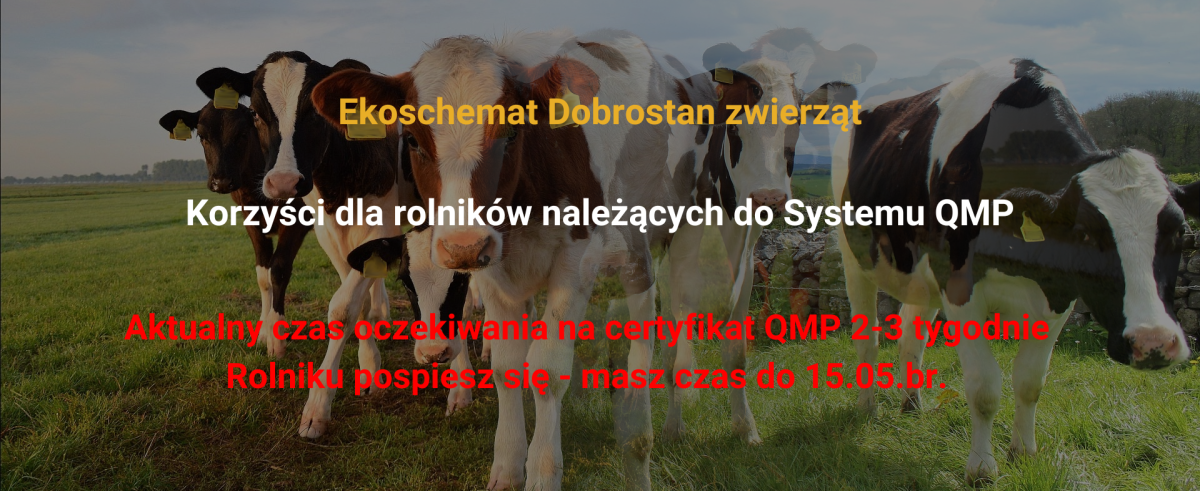 materiał informacyjno-promocyjny dot. Ekoschematu Dobrostan zwierząt i Systemu QMP