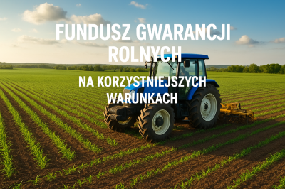 Gwarancje BGK na korzystniejszych warunkach