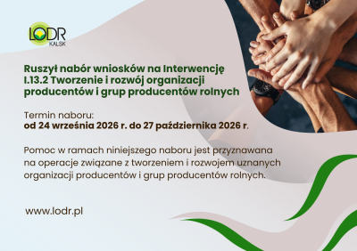 Grafika LODR
