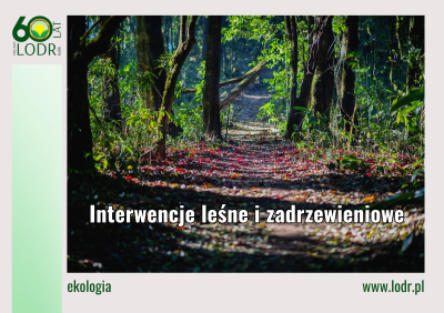Interwencje leśne i zadrzewieniowe