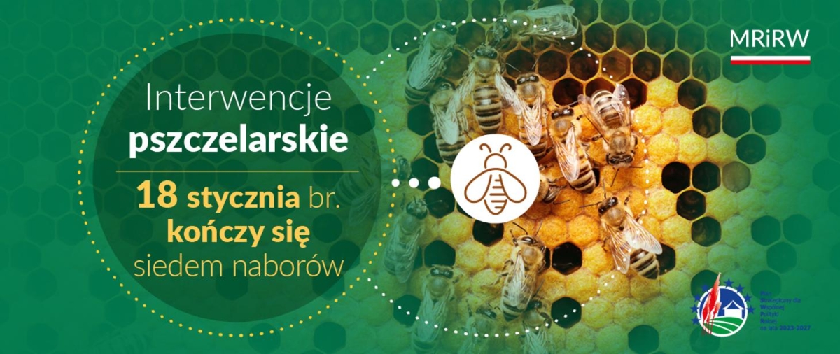Interwencje pszczelarskie – nabory kończą się 18 stycznia