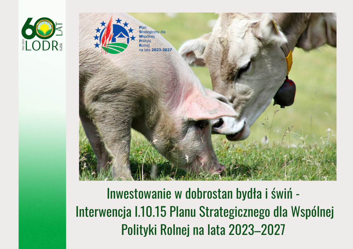 Inwestowanie w dobrostan bydła i świń