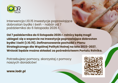 Grafika LODR Kalsk