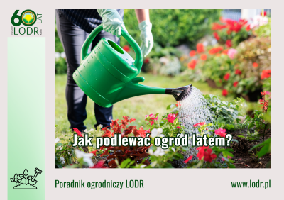 Jak podlewać ogród latem?
