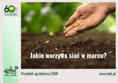 Jakie warzywa siać w marcu?