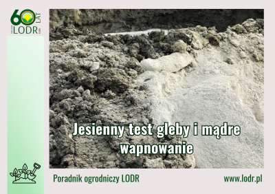 Jesienny test gleby i mądre wapnowanie