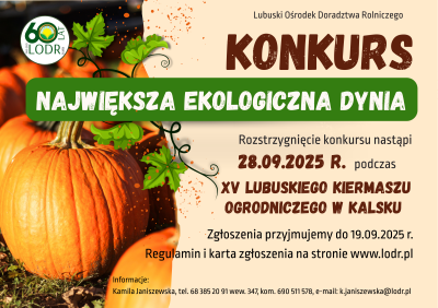 Konkurs ogrodniczy - największa ekologiczna Dynia - Kalsk 