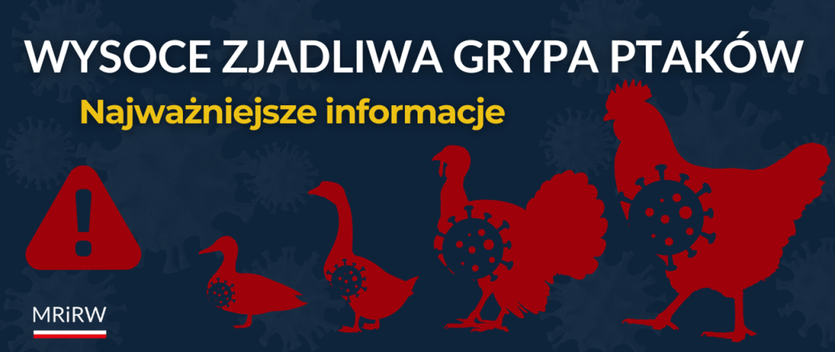 Konsekwentna bioasekuracja – w Polsce walczymy z grypą ptaków