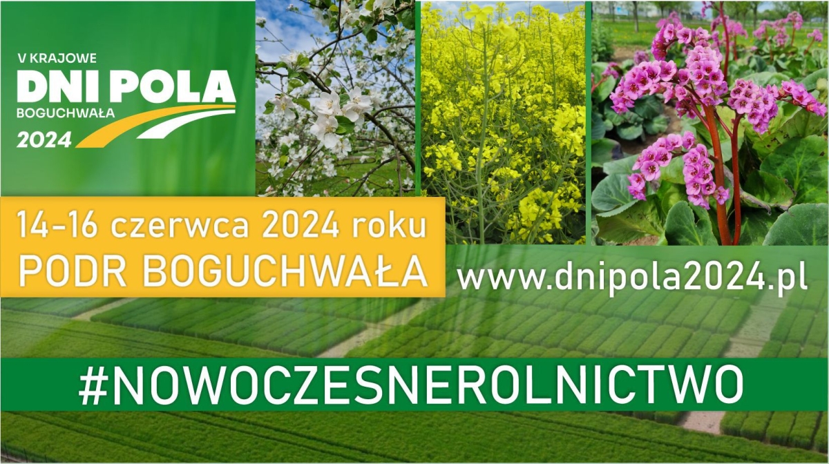 Boguchwała