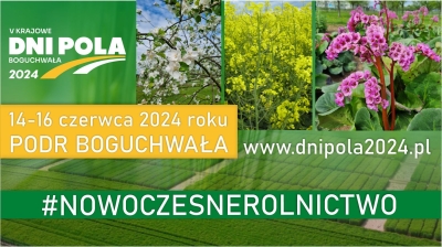 Boguchwała