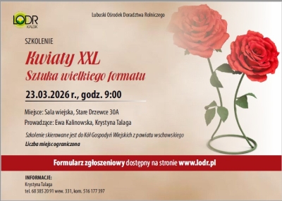 Kwiaty XXL