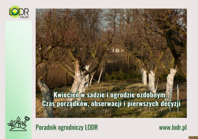 Kwiecień w sadzie i ogrodzie ozdobnym