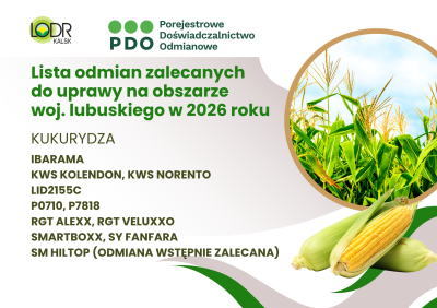 Lista odmian zalecanych do zalecanych do uprawy na obszarze województwa lubuskiego - kukurydza 
