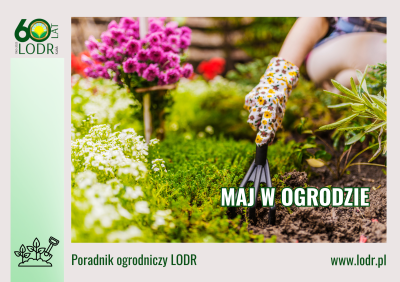 Maj w ogrodzie