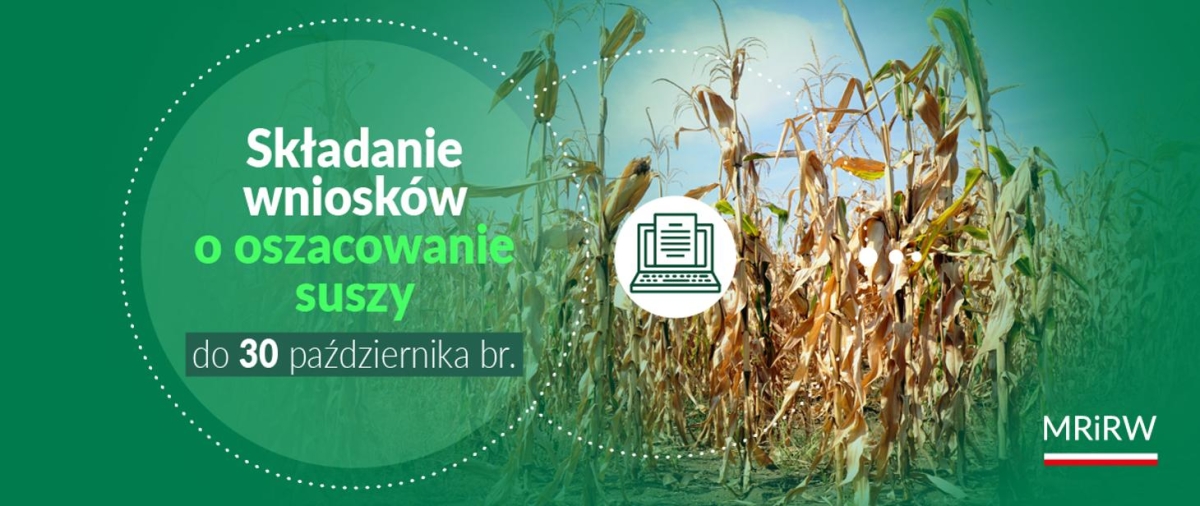 MRIRW informuje: wydłużenie terminu na składanie wniosków o oszacowanie suszy w aplikacji „Zgłoś szkodę rolniczą”