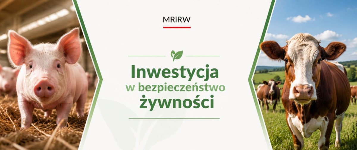 grafika MRIRW