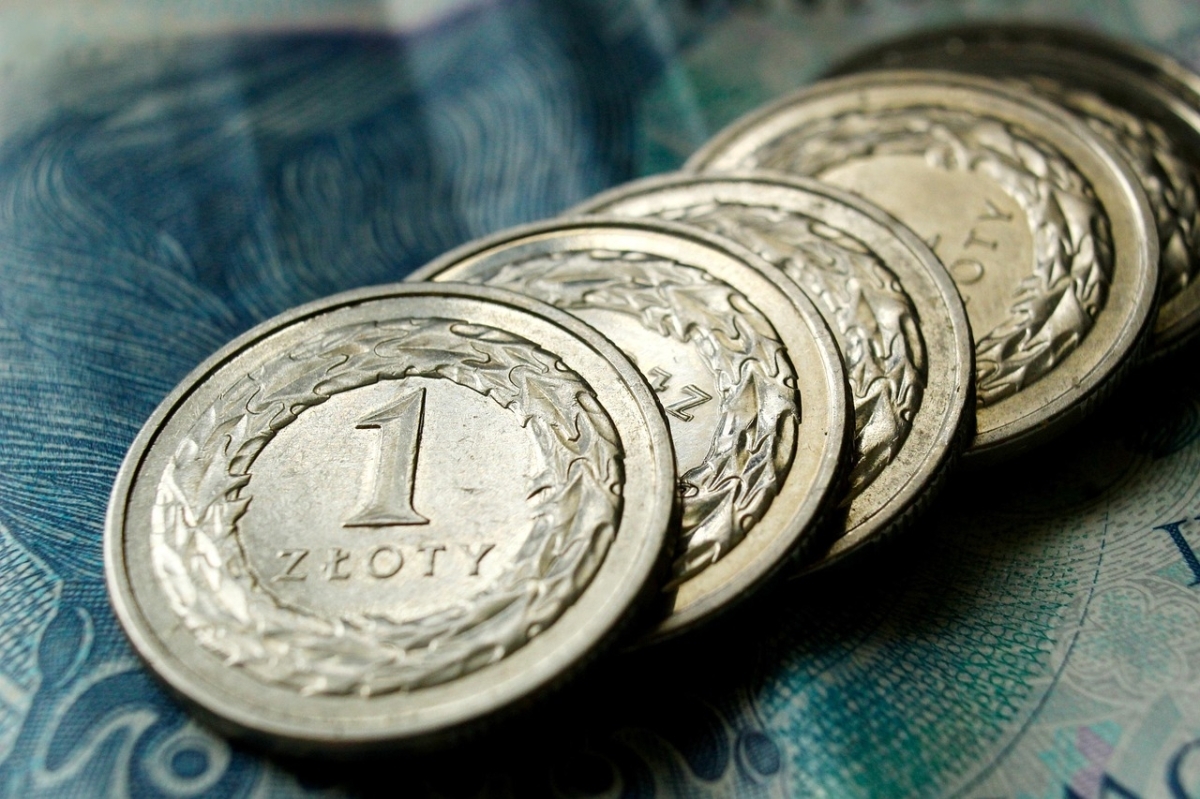 NOTOWANIA CENOWE – Zboża paszowe, zboża konsumpcyjne i rośliny motylkowe