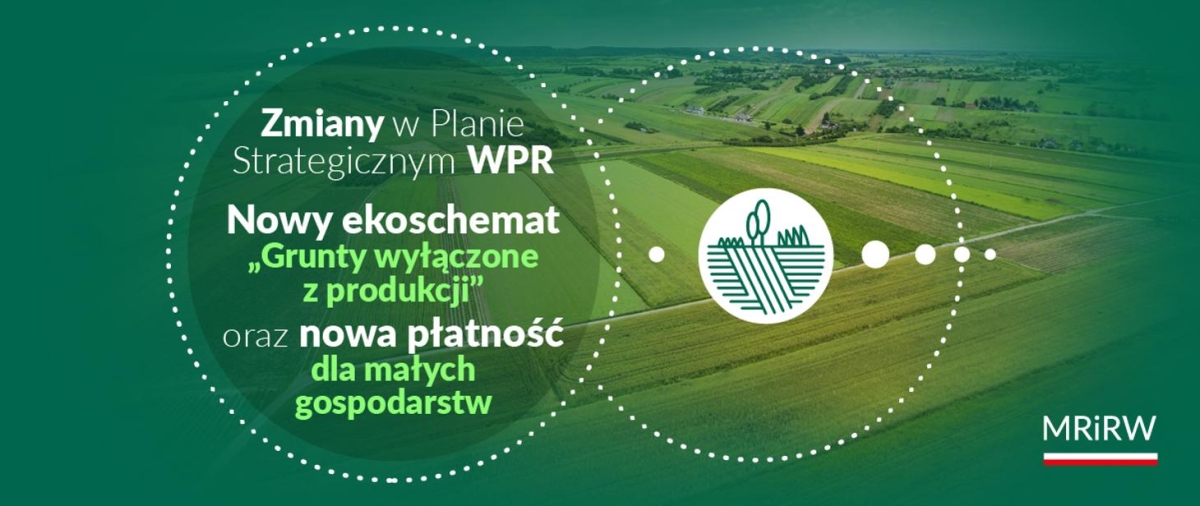 Nowe płatności w Planie Strategicznym WPR