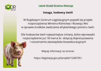 Nowe przepisy dla hodowców świń od marca 2026 r