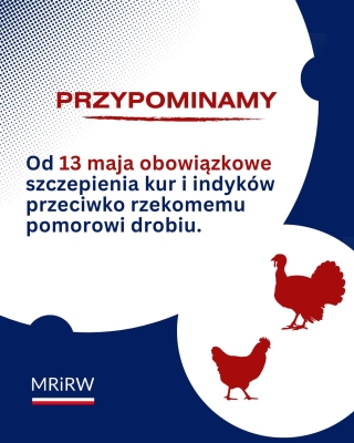 Obowiązkowe szczepienia drobiu od 13 maja 2025 r.