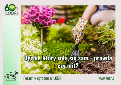 Ogród, który robi się sam - prawda czy mit?