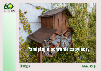 Pamiętaj o ochronie zapylaczy 