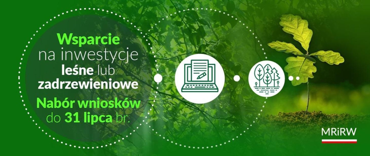 Pieniądze na inwestycje leśne lub zadrzewieniowe