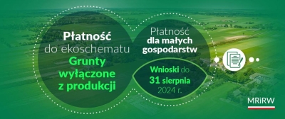 Grafika MRIRW