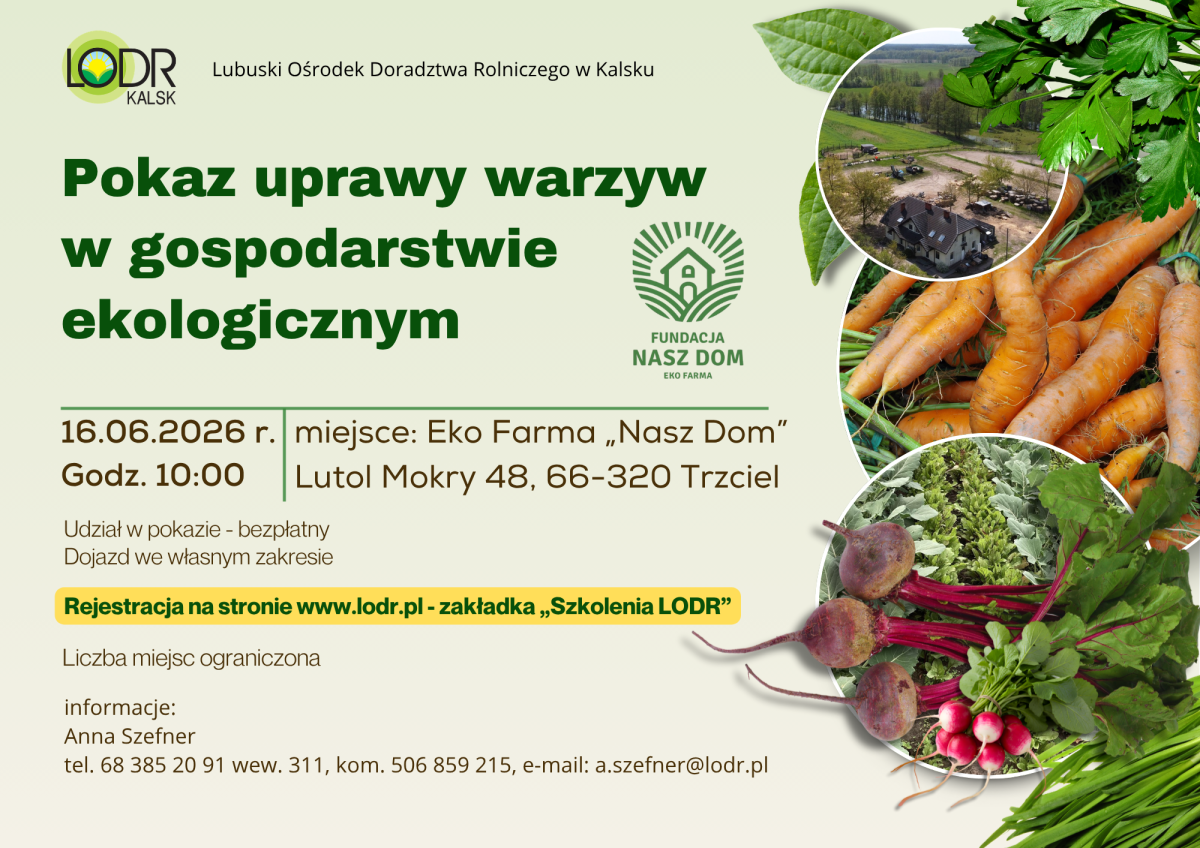 Pokaz uprawy warzyw