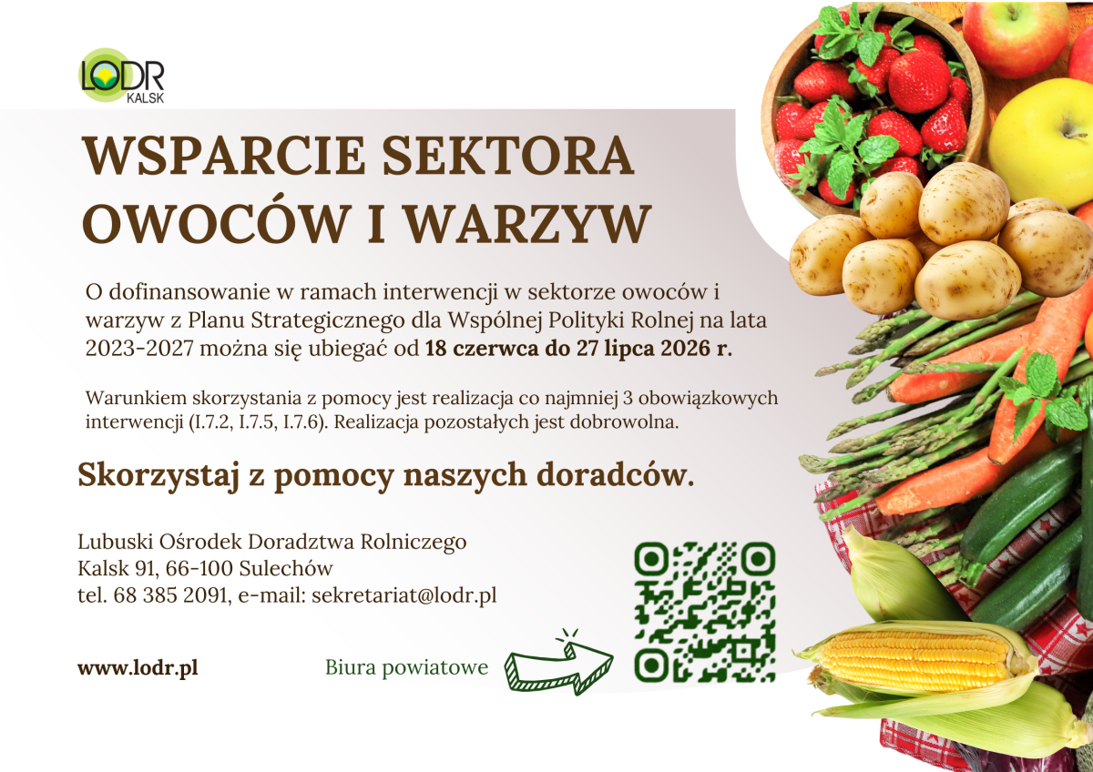 Grafika LODR Kalsk