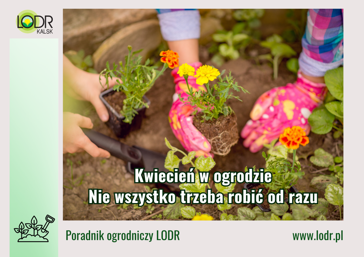 Kwiecień w ogrodzie