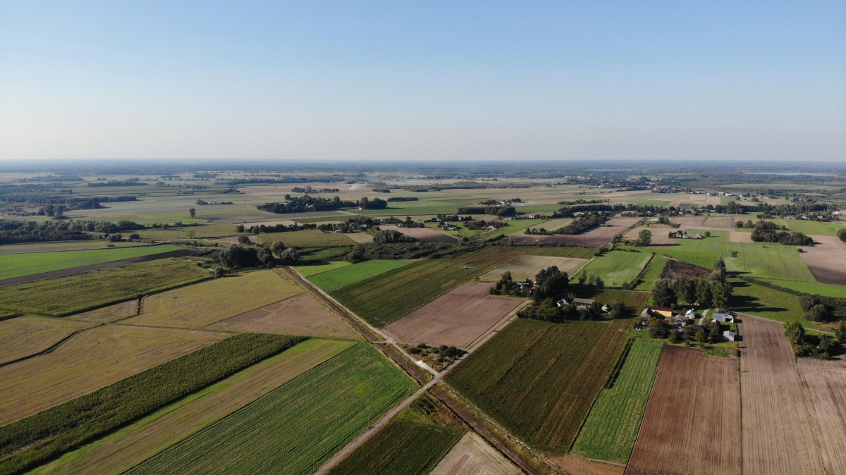 Powierzchnia upraw w Twojej gminie