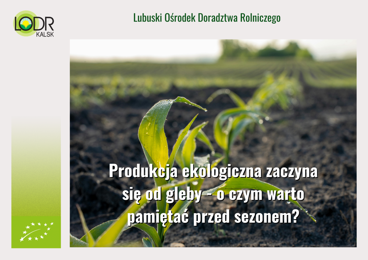 Produkcja ekologiczna zaczyna się od gleby - o czym warto pamiętać przed sezonem?