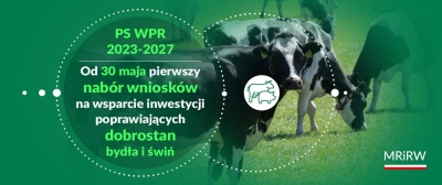 PS WPR 2023-2027: wsparcie inwestycji poprawiających dobrostan bydła i świń