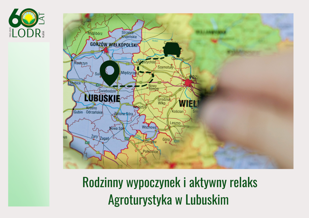 Rodzinny wypoczynek i aktywny relaks – agroturystyka w Lubuskim