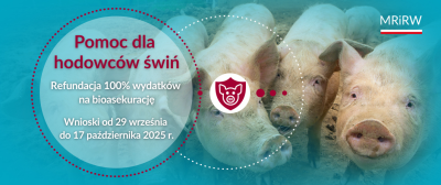 grafika MRIRW